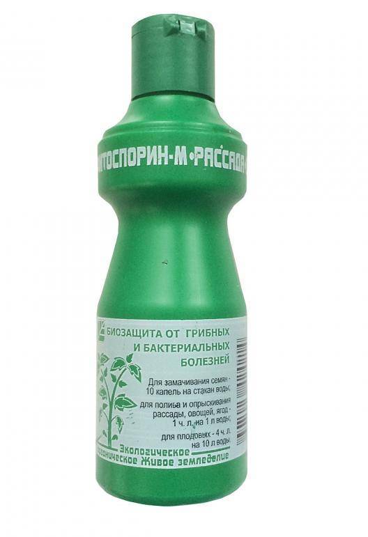 Фитоспорин-м фото, инструкция по применению, отзывы, паста, порошок, жидкий препарат для комнатных растений