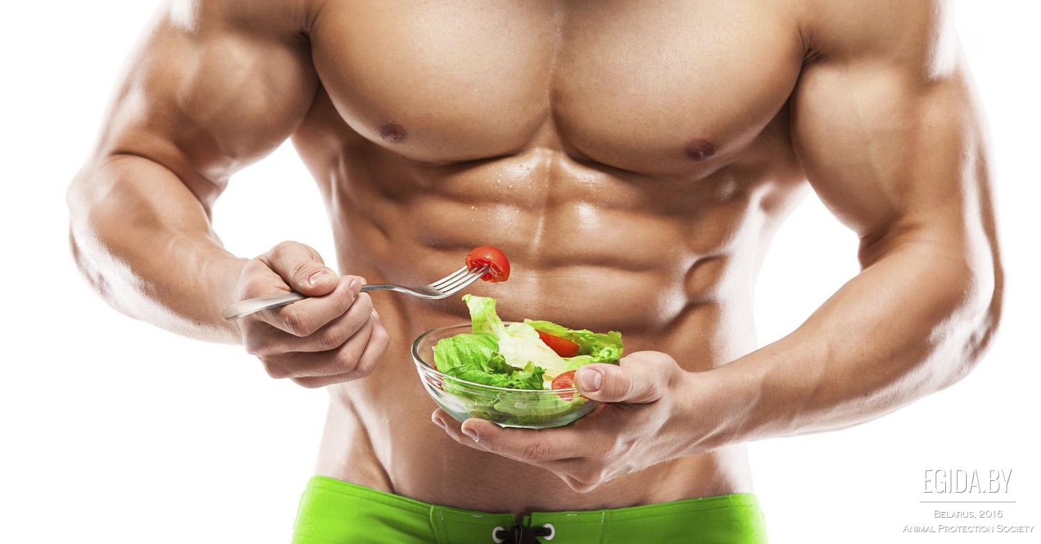 Мышцы Правильное Питание