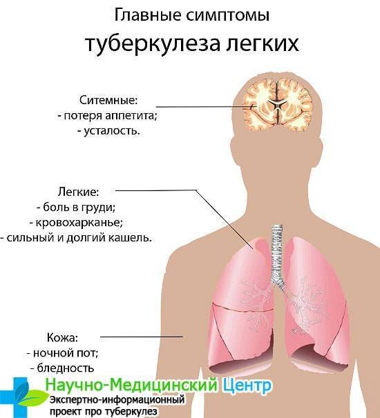 Диета При Туберкулезе Легких