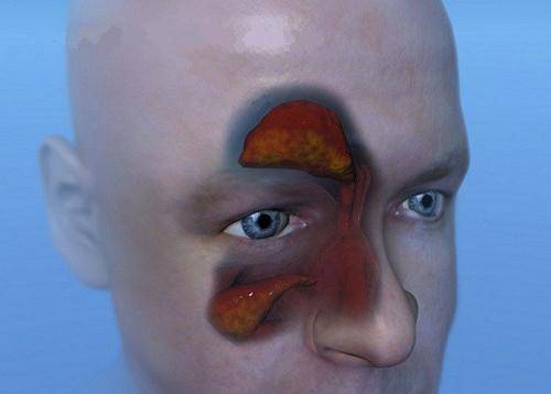 Ципрофлоксацин капли в нос