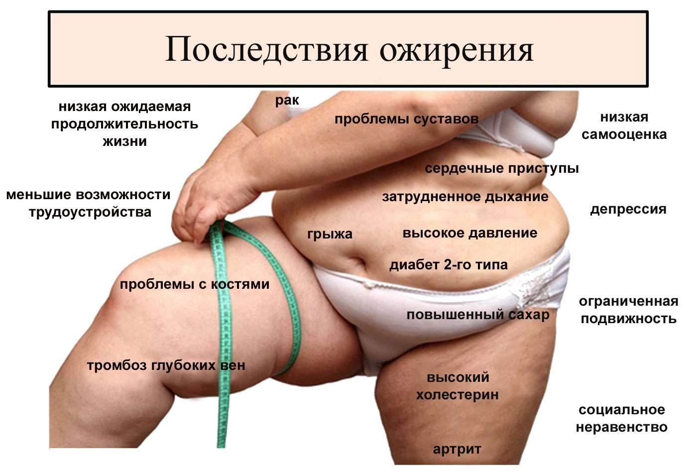 Ожирение Внутренних Органов Диета Для Женщин