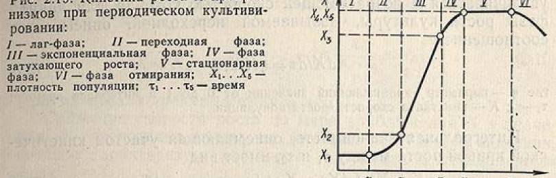 Соотнесите вопросы по схеме рост каждой из стадий рост