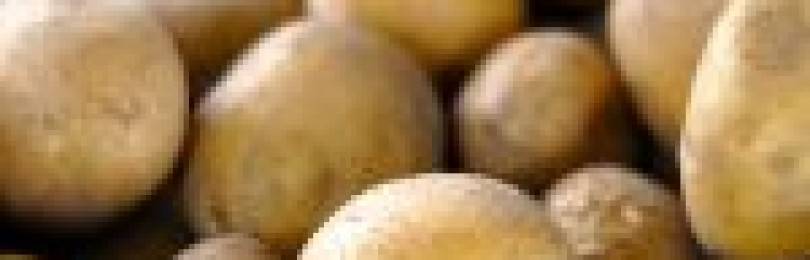 Аллергия на картошку у детей и взрослых