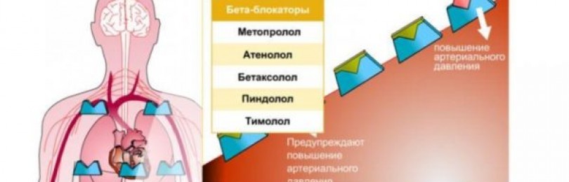 Арител — современный селективный бета2-адреноблокатор