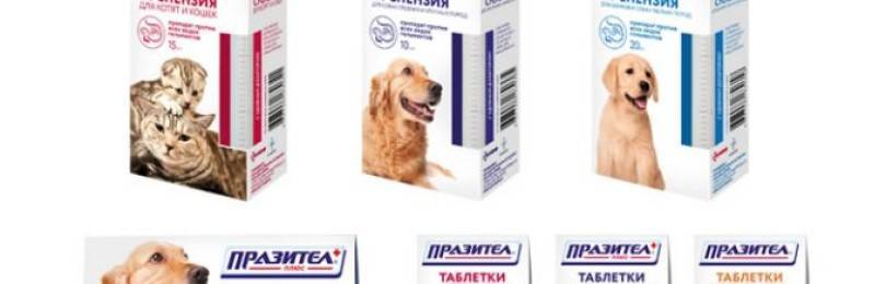 Инструкция к суспензии и таблеткам Паразител для собак