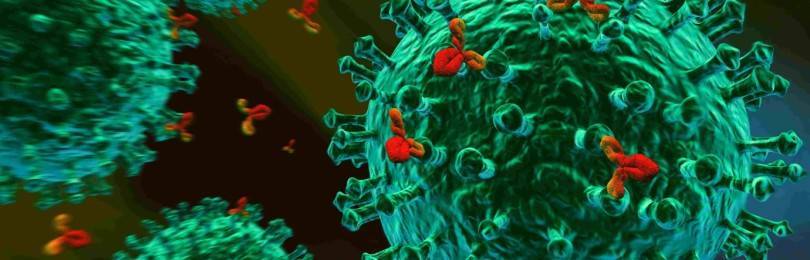 Маркеры гепатитов: лабораторная диагностика вирусных заболеваний