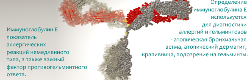 Расшифровка анализа на иммуноглобулин е