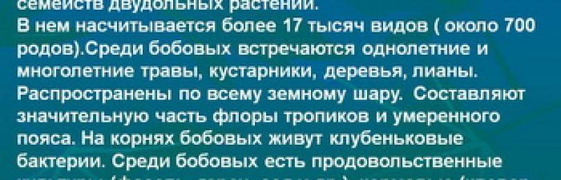 Что такое клубеньковые бактерии 5 класс биология. Смотреть фото Что такое клубеньковые бактерии 5 класс биология. Смотреть картинку Что такое клубеньковые бактерии 5 класс биология. Картинка про Что такое клубеньковые бактерии 5 класс биология. Фото Что такое клубеньковые бактерии 5 класс биология