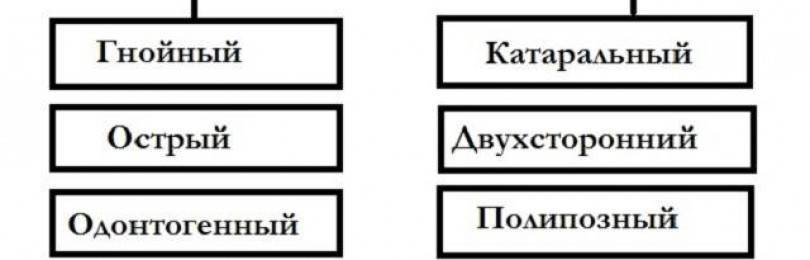 При гайморите желтые сопли что значит