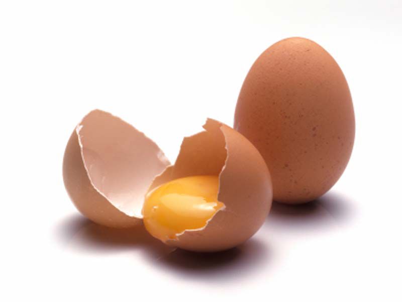 Ученые рассказали, почему яйца нужно есть каждый день