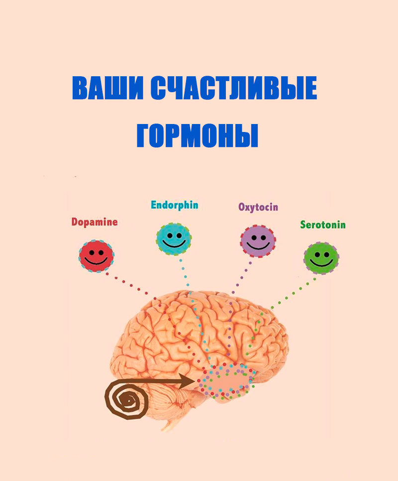 Гормоны счастья картинки