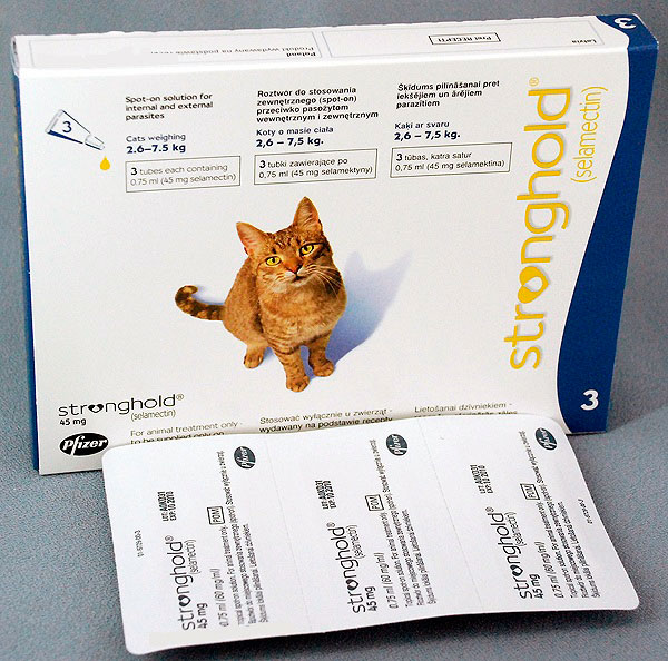 Стронгхолд для кошек - инструкция по применению капель от блох, глистов и клещей, дозировка, аналоги и цена