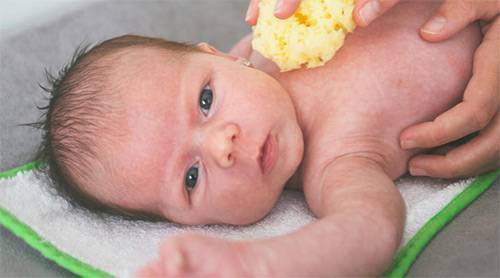 Прививка бцж новорожденным: реакция, последствия и осложнения