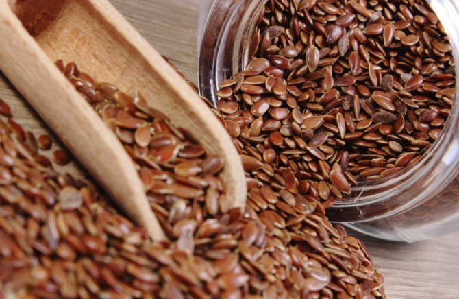 Семена льна: использование для очищения кишечника и оздоровления организма