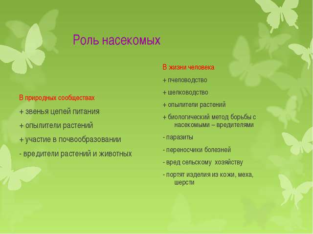 Роль насекомых. Роль насекомых в жизни человека. Роль насекомых в природе и жизни. Биологическая роль насекомых в природе.