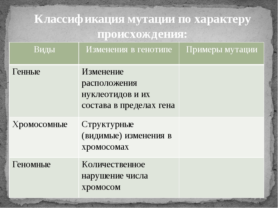 Мутации презентация 11 класс