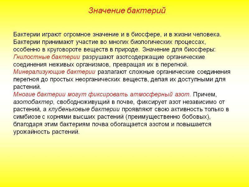 Проект на тему роль бактерий в природе и в жизни человека