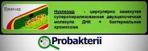 что больше клетка или бактерия. Смотреть фото что больше клетка или бактерия. Смотреть картинку что больше клетка или бактерия. Картинка про что больше клетка или бактерия. Фото что больше клетка или бактерия