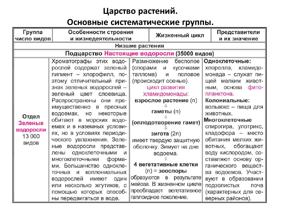 Особенности представителей. Сравнительная характеристика отделов растений ЕГЭ. Отделы растений и их признаки таблица. Общая характеристика растений. Характеристика отделов водорослей.