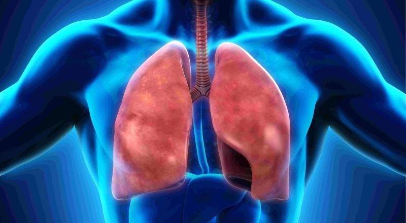 Заразна ли пневмония для окружающих, передается ли воздушно-капельным путем, как можно заразиться воспалением легких