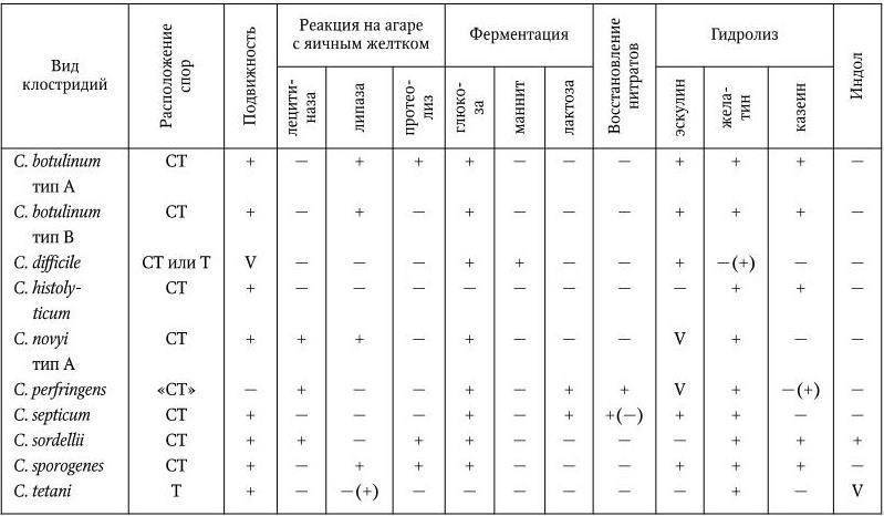 Стандартные образцы мутности бактериальных взвесей 5 ме и 10 ме комплект бак