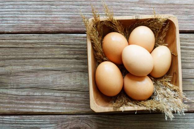 Куриные яйца — их польза и вред