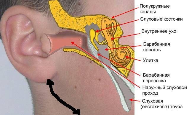 Серная пробка в ушах - лечение в домашних условиях, можно ли убрать самостоятельно