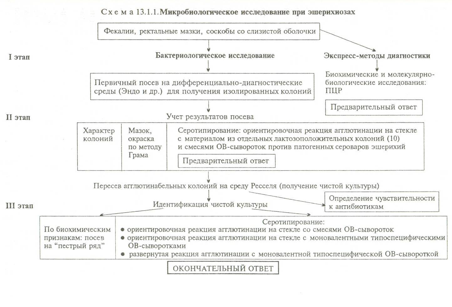 Схема исследования кишечной палочки