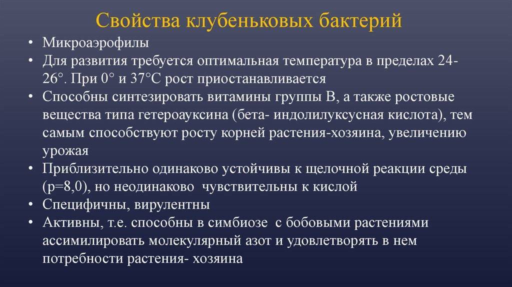 Что такое клубеньковые бактерии 5 класс биология. Смотреть фото Что такое клубеньковые бактерии 5 класс биология. Смотреть картинку Что такое клубеньковые бактерии 5 класс биология. Картинка про Что такое клубеньковые бактерии 5 класс биология. Фото Что такое клубеньковые бактерии 5 класс биология