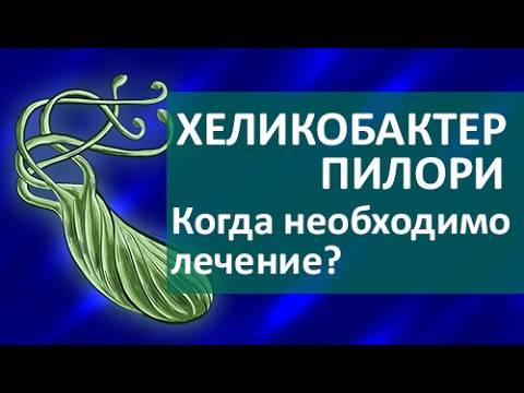 Хеликобактер пилори лечение у взрослых схема медикаментозное