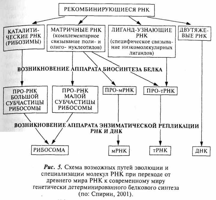 Бактерии это древние организмы потому что они. 13bd9b125f25226970084bb4bd177dcf. Бактерии это древние организмы потому что они фото. Бактерии это древние организмы потому что они-13bd9b125f25226970084bb4bd177dcf. картинка Бактерии это древние организмы потому что они. картинка 13bd9b125f25226970084bb4bd177dcf.