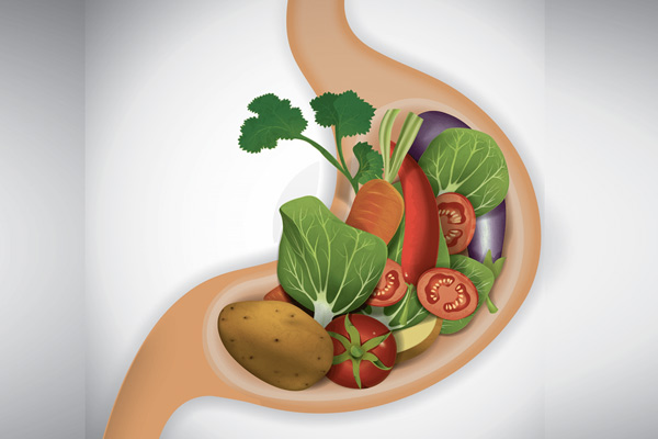 Питание при эрозивном гастрите: особенности диеты и меню на день