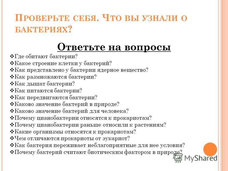 Конспект урока по теме : "бактерии. строение и жизнедеятельность"