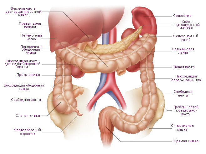 Лечение и питание при пневматозе кишечника