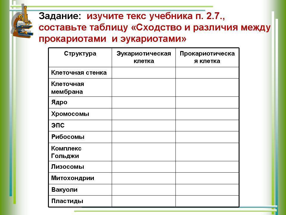 Сравнение прокариот и эукариот таблица 10 класс