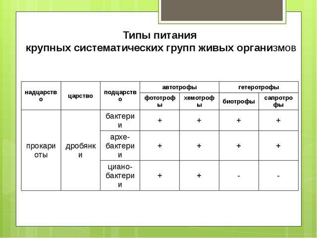 Способы питания организмов схема