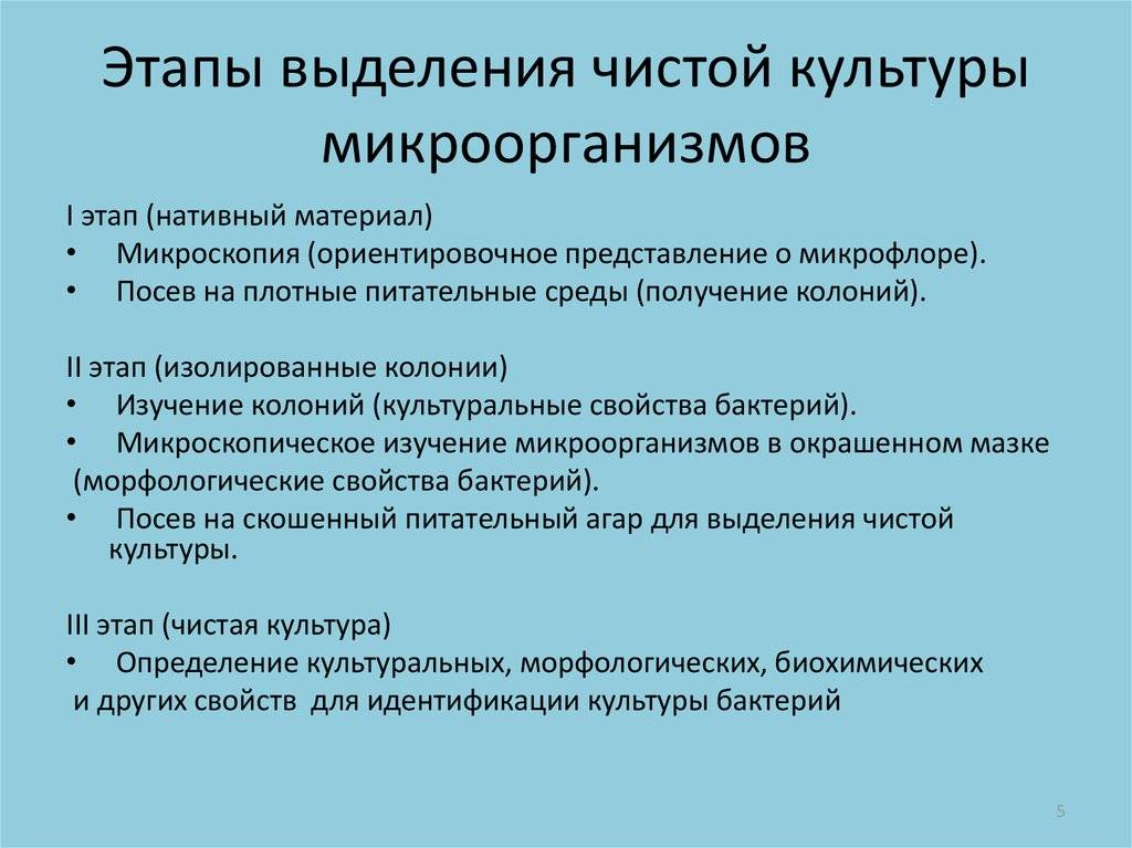 Этапы культуры. Этапы выделения чистой культуры возбудителя. Этапы выделения чистой культуры бактерий. Этапы выведения чистой культуры. Этапы выделения чистой культуры анаэробов.