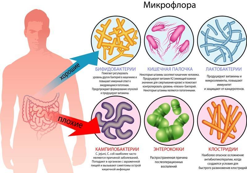 Комплексное лечение гастрита у взрослых схема лечения