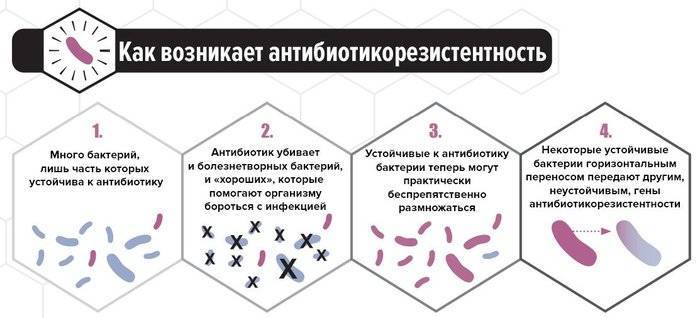 какую форму могут иметь бактерии. картинка какую форму могут иметь бактерии. какую форму могут иметь бактерии фото. какую форму могут иметь бактерии видео. какую форму могут иметь бактерии смотреть картинку онлайн. смотреть картинку какую форму могут иметь бактерии.