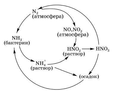 Схема превращения азота