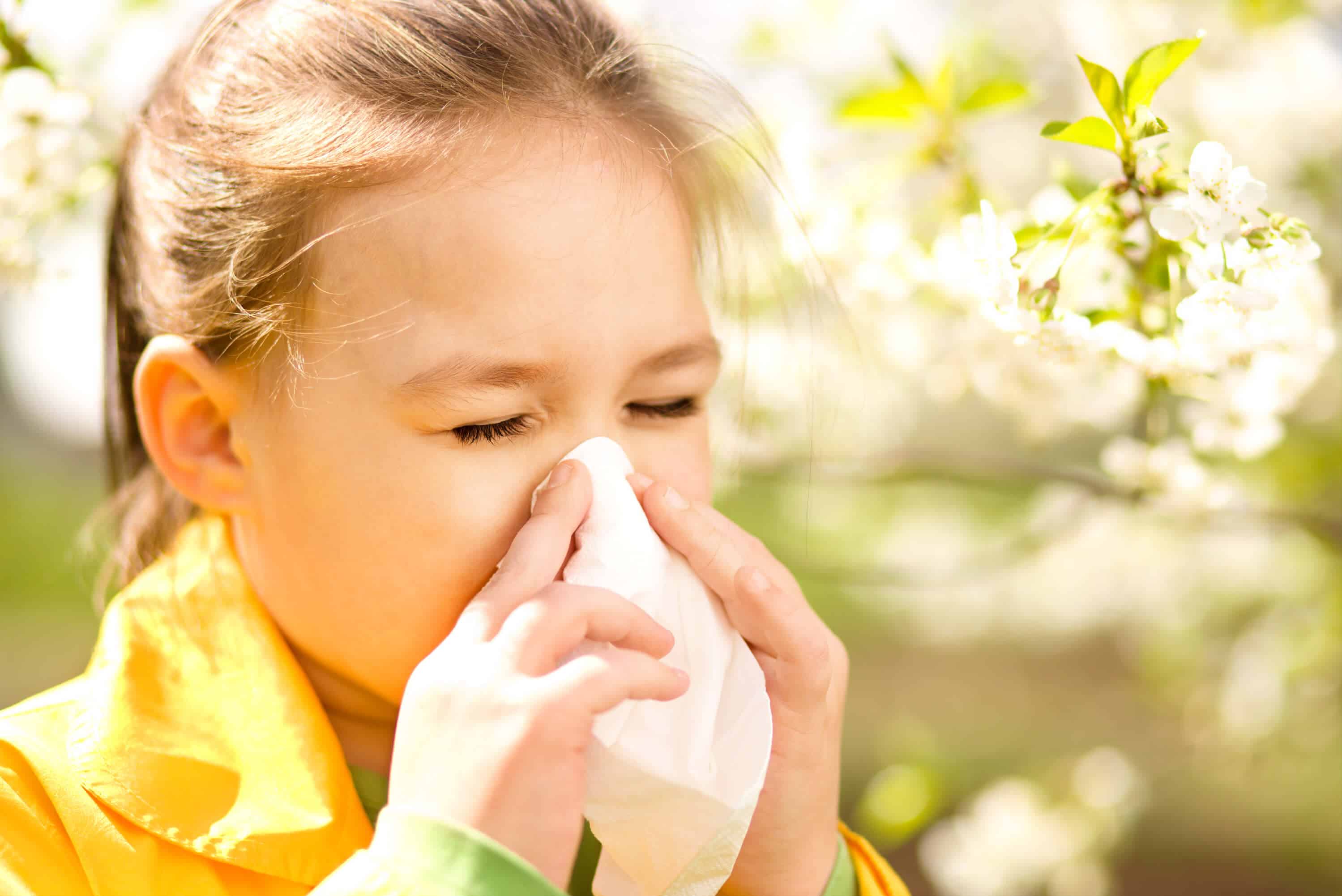 Сезонный аллергический ринит: отличие от круглогодичного, симптомы поллиноза и заложенности носа летом, лечение насморка на цветение