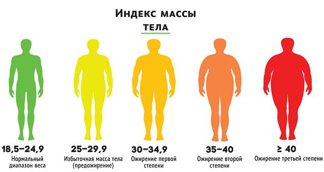 Ожирением страдает каждый пятый россиянин