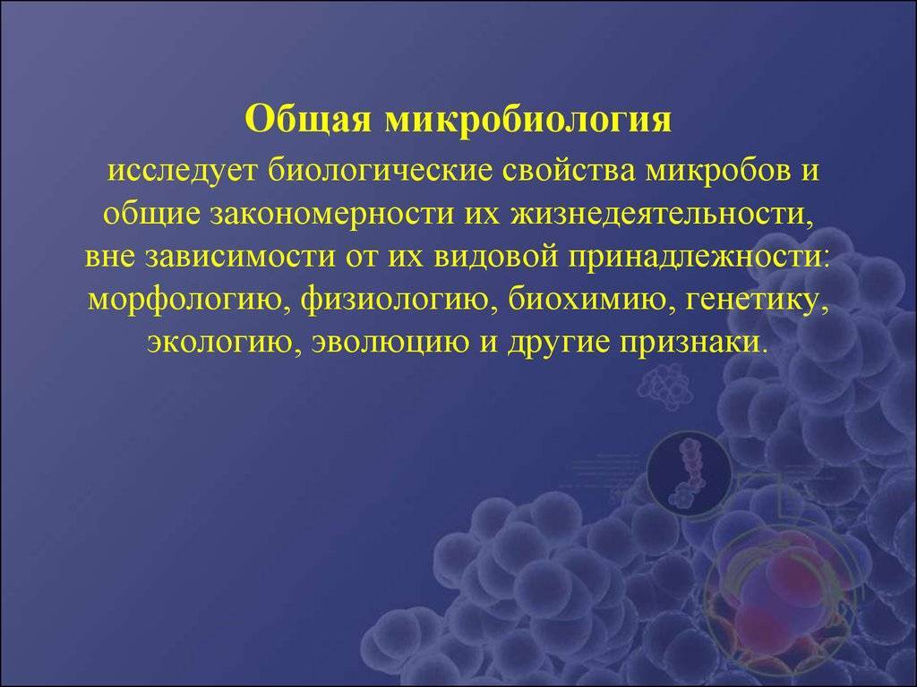 Генетика микроорганизмов микробиология презентация