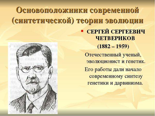 Презентация синтетическая теория эволюции 11 класс