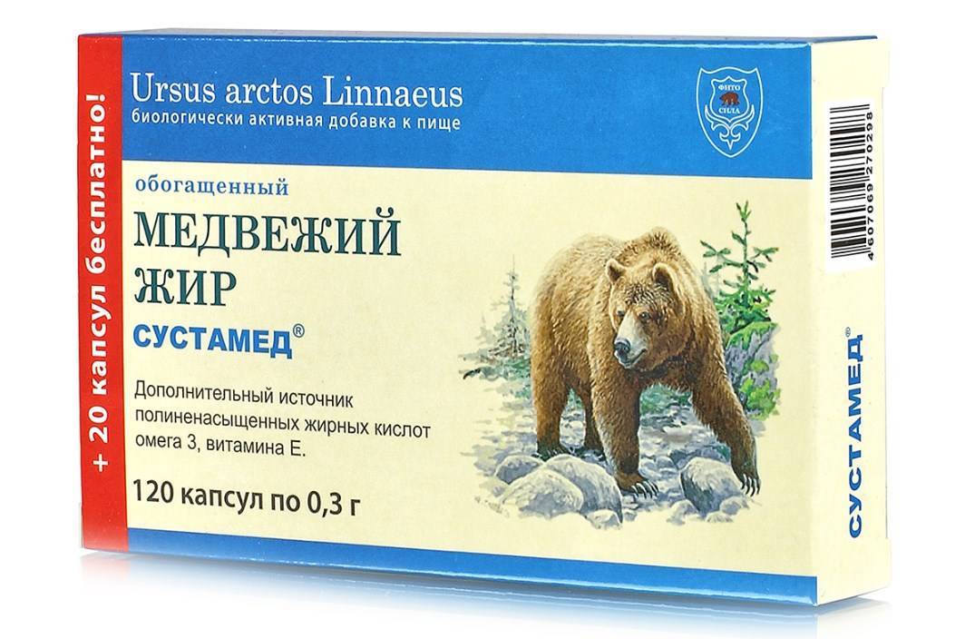 Медвежий жир от кашля, как применять медвежий жир при кашле у детей