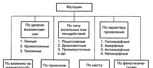 Классификация мутаций схема