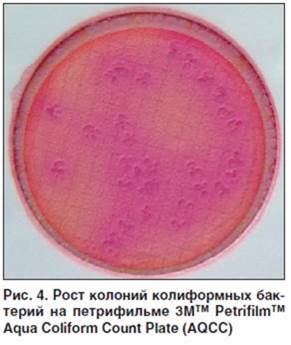 Патогенный микроорганизм - pathogen - qwe.wiki