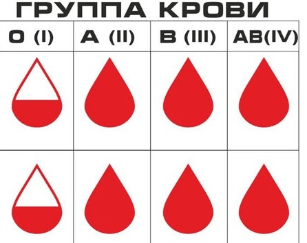 Определение характера человека по группе крови