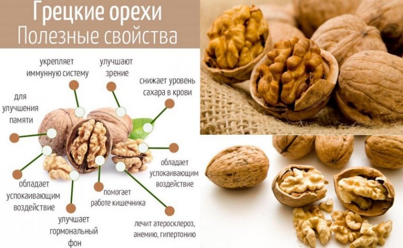 Почему орехи нужно есть каждый день: новое открытие ученых