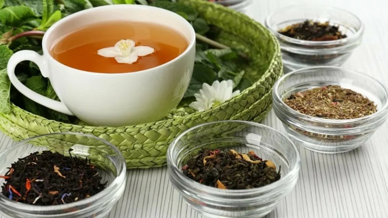 Чай с мятой — польза и вред